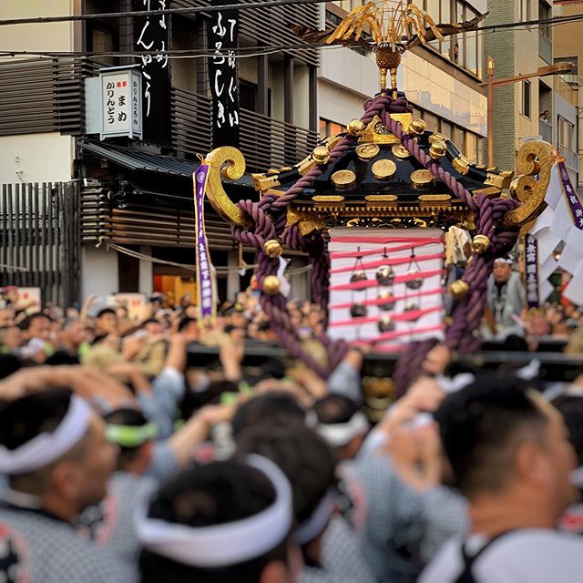 お祭り専用 腹巻 白色 MLサイズ（ウエスト : 76cm～94cm） ポケット