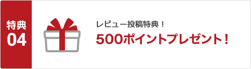 レビュー500ポイントプレゼント
