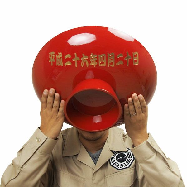 特注　名前入れご結婚お祝い大朱盃　寿・祝